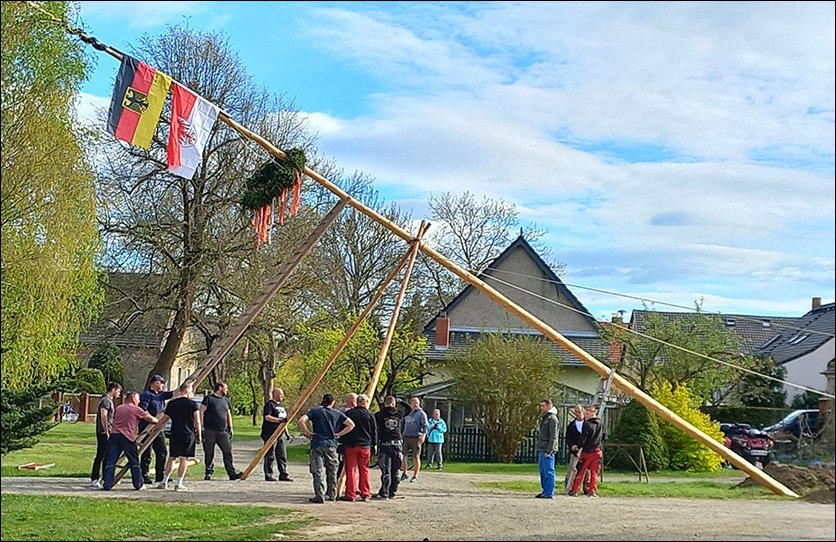 Maibaumstellen